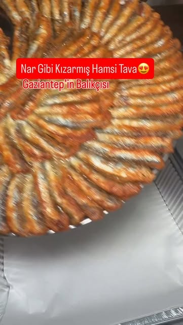 Güneykent Balıkcısı — @guneykentbalikcisi